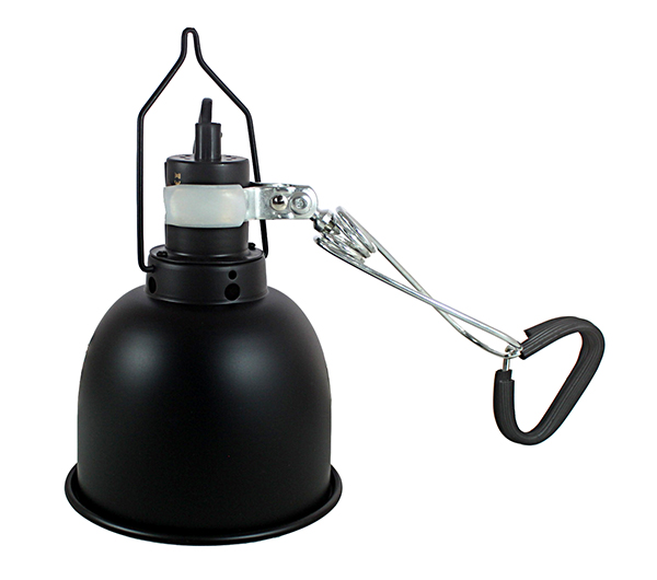 ũ Ŀ(̱) SPBR 180D_01.jpg