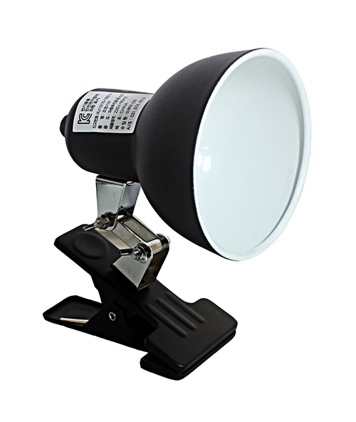 ũ Ŭ SPBR 902_01.jpg