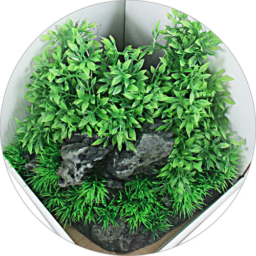 GM +(ڳʿ)YS-19742_03.jpg